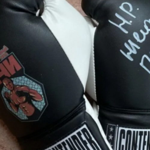 На продажу выставили боксерские перчатки с автографом Емельяненко в Новосибирске