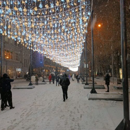 Новогодний флешмоб с песнями прошел в Новосибирске