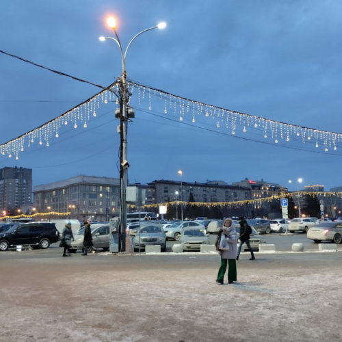 Власти намерены отменить новогоднюю программу в Новосибирске