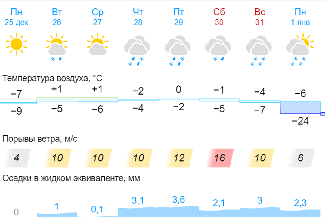 Зимняя сказка: какая погода будет в последнюю неделю 2023 года в Новосибирске