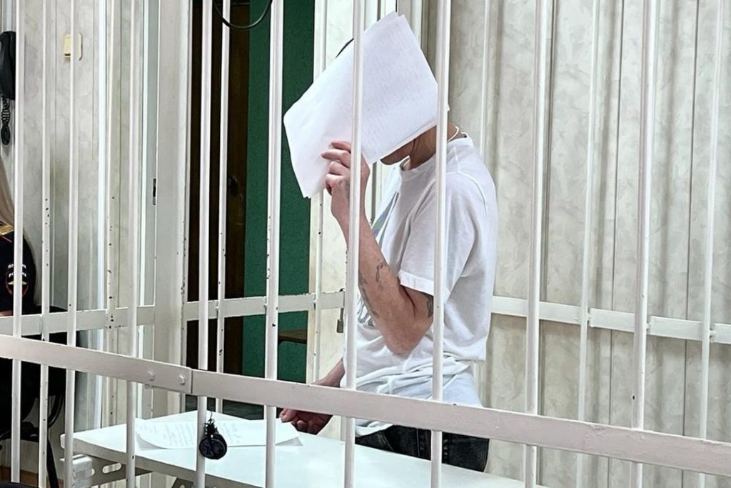 Мужчину, напавшего с ножом на ребенка возле школы, отправили в колонию в Новосибирске