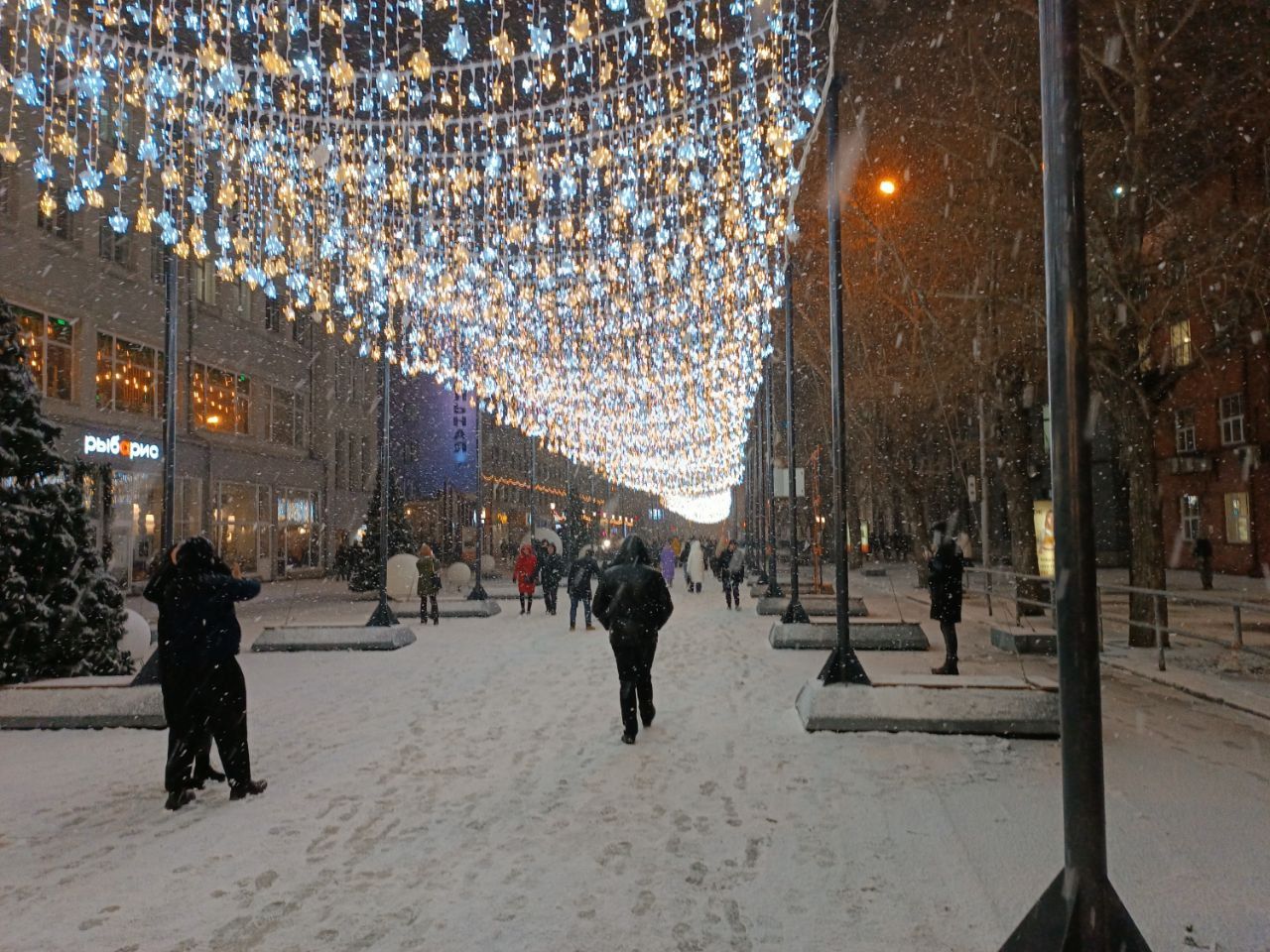 Новогодняя иллюминация появилась на улице Ленина в Новосибирске