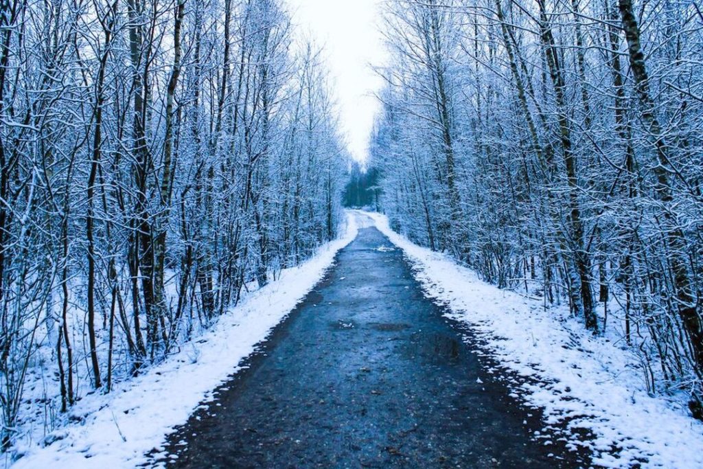 Ребенка-инвалида высадили из маршрутки посреди трассы в Новосибирске