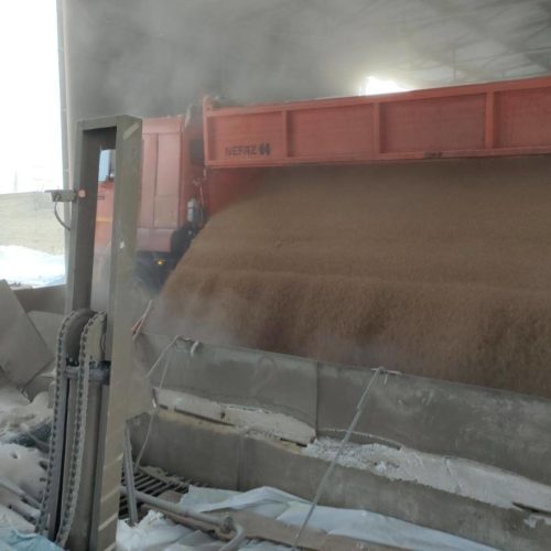 В два раза вырос экспорт зерна из Новосибирской области