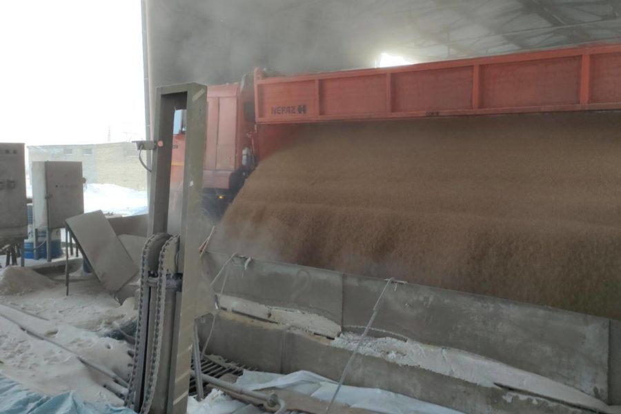 В два раза вырос экспорт зерна из Новосибирской области