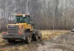 Жители недовольны переносом Лыжни России на побережье Оби в Новосибирске