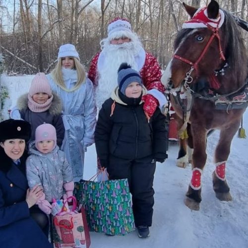 Следственный комитет исполнил новогоднее желание трех детей в Новосибирске