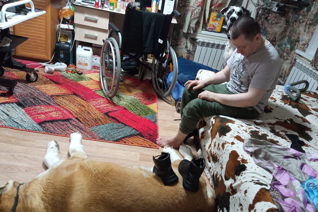 Погребенные заживо: волонтеры вызволили из-под гор мусора инвалида с 30 кошками в Сибири