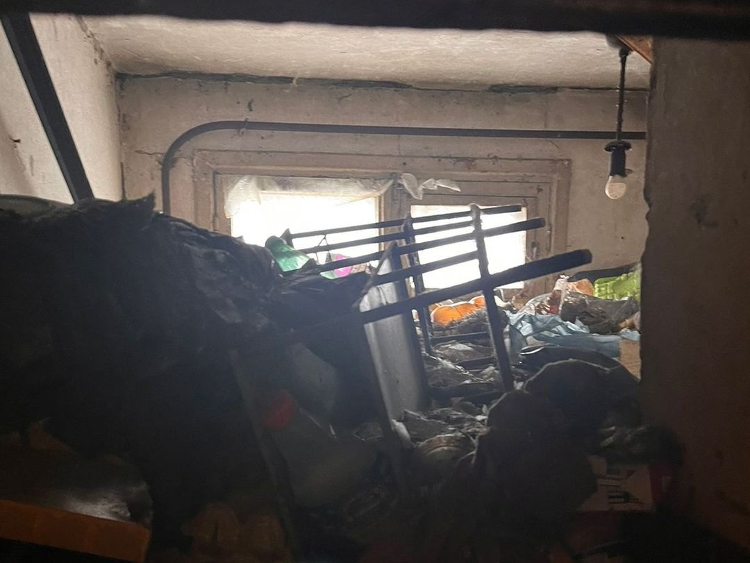 Погребенные заживо: волонтеры вызволили из-под гор мусора инвалида с 30 кошками в Сибири