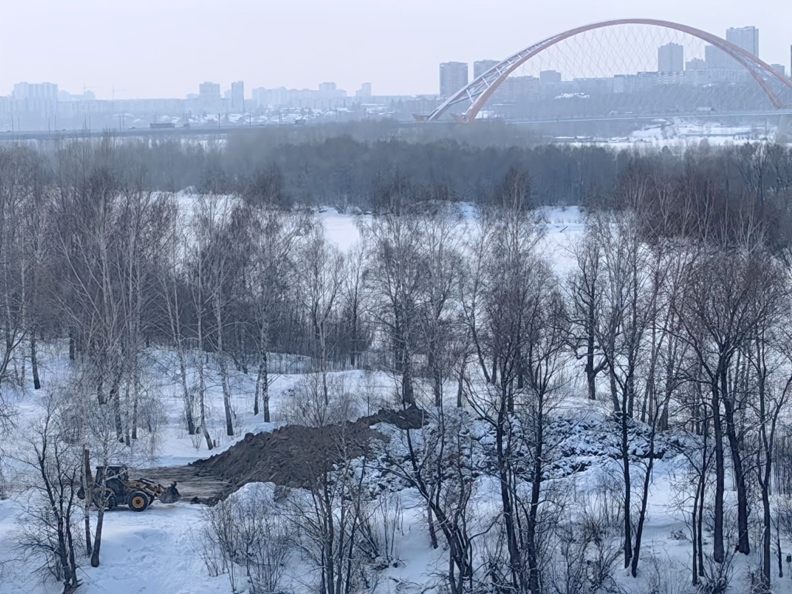 Жители Европейского берега обнаружили, что на острове Высокий начались  работы - Infopro54 - Новости Новосибирска. Новости Сибири