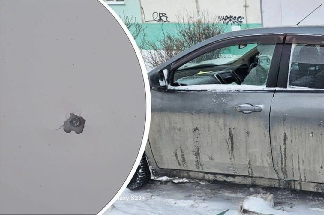 Один на 150 тысяч: жители Плющихинского жилмассива просят новосибирское МВД клонировать участкового