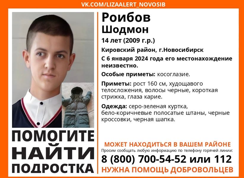 Поисковый отряд ЛизаАлерт Новосибирской области