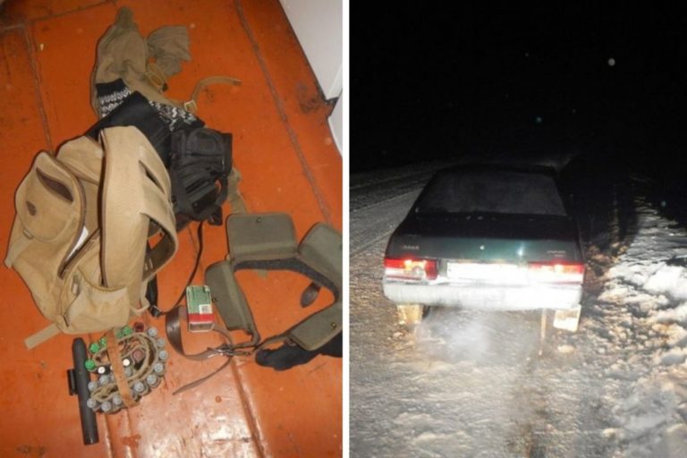 Браконьеры из Новосибирска убили косуль в Ордынском районе