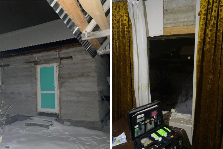 Мать бросила маленьких сыновей в холодном доме и ушла отмечать Новый год