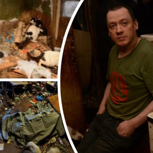 «Ползал на коленях и тихо умирал»: инвалида с 30 кошками спасли волонтеры из захламленной квартиры в Сибири