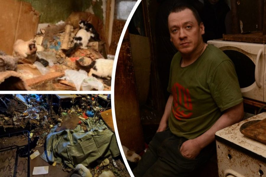 «Ползал на коленях и тихо умирал»: инвалида с 30 кошками спасли волонтеры из захламленной квартиры в Сибири