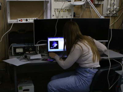 Ученые подвергли излучению кроликов в Новосибирске