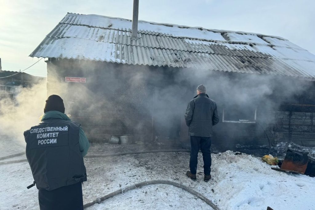 «Мать растерялась и не успела»: на пожаре под Новосибирском погибла двухлетняя девочка