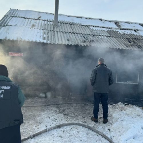 На пожаре под Новосибирском погибла двухлетняя девочка