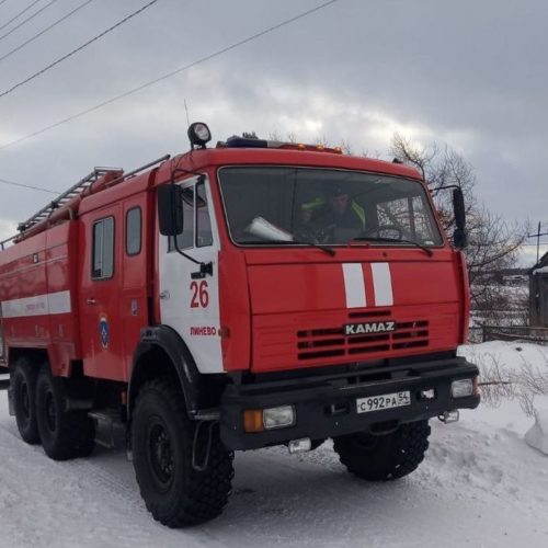 Приют для животных «Хочу жить» сгорел в Новосибирске