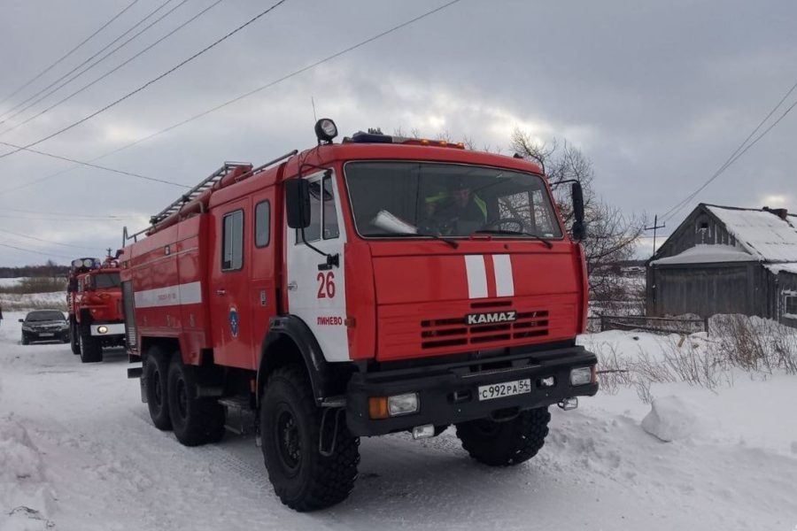 Приют для животных «Хочу жить» сгорел в Новосибирске