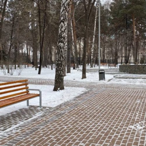 Сносить аварийные деревья будут в сквера «Закаменский» в Новосибирске