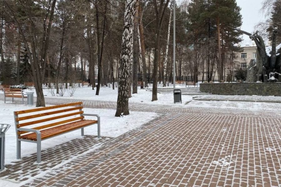 Сносить аварийные деревья будут в сквера «Закаменский» в Новосибирске