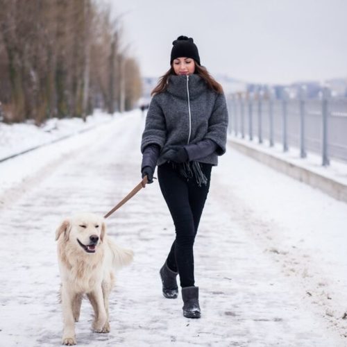 До -5 и без осадков: погода продолжит баловать жителей Новосибирска до конца рабочей недели