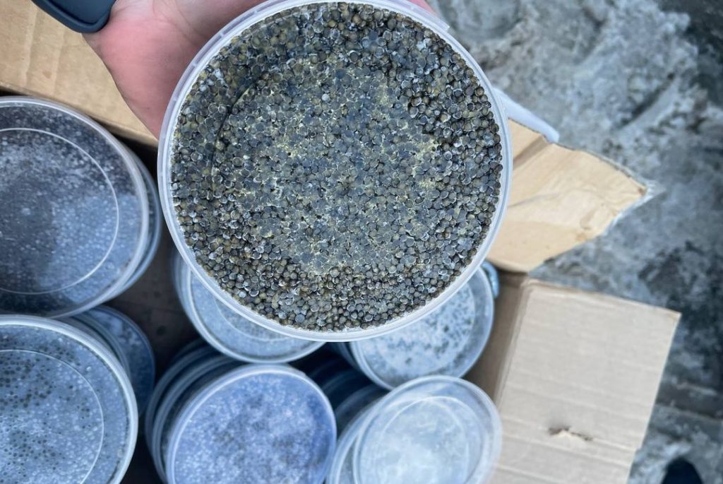 Более 13 кг черной икры изъяли у частного предпринимателя в Новосибирске