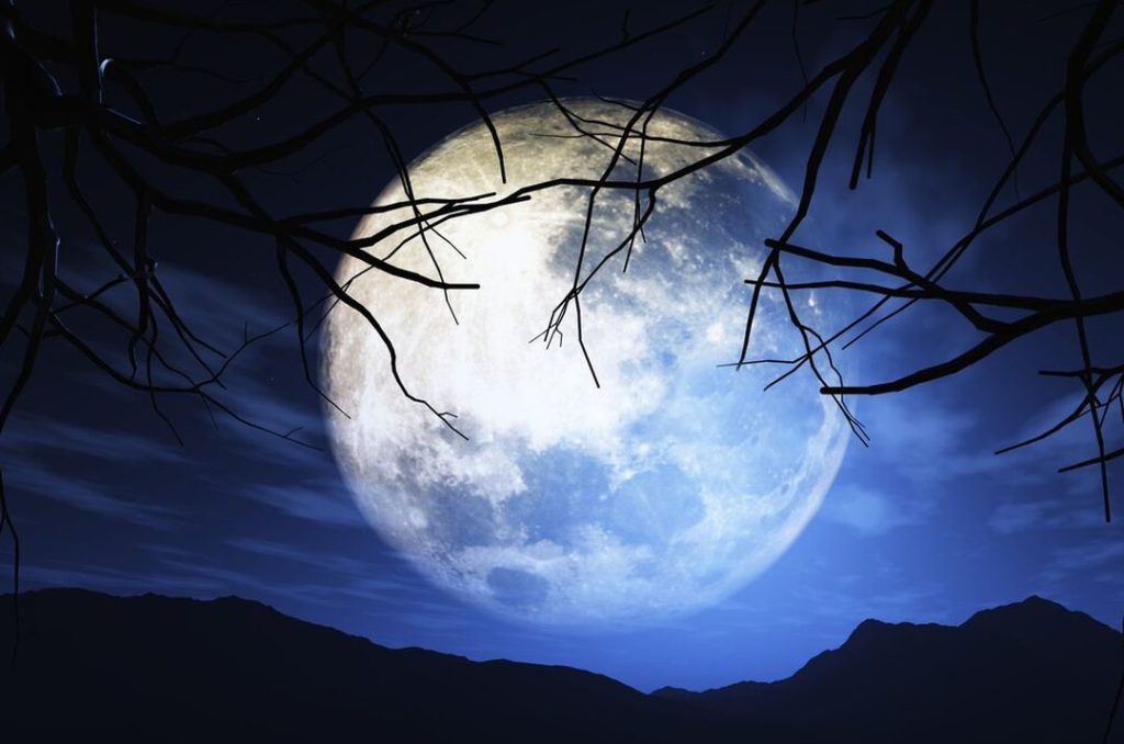 Волчья Луна взойдет над Новосибирском