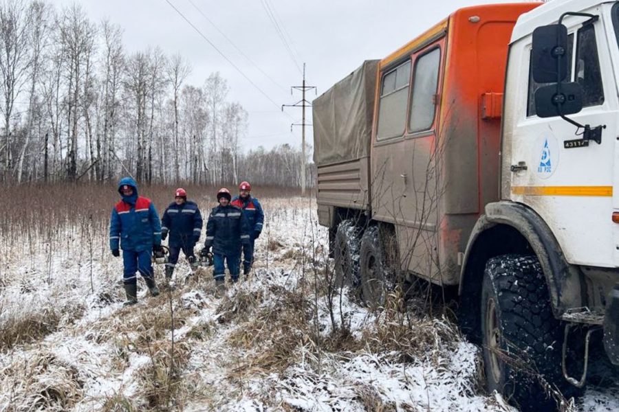Более 7 тысяч человек оставил без света штормовой ветер в Новосибирской области