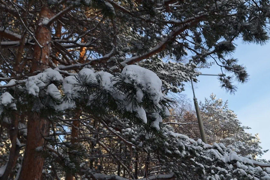 Недельный снегопад обрушится на Новосибирск