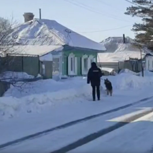 Полицейская овчарка раскрыла кражу медного кабеля на ЖД под Новосибирском