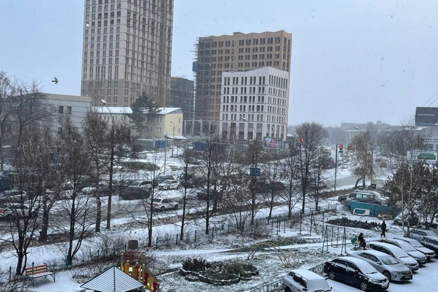 Зимой новосибирцы чаще обращаются за страховкой из-за ДТП на дорогах