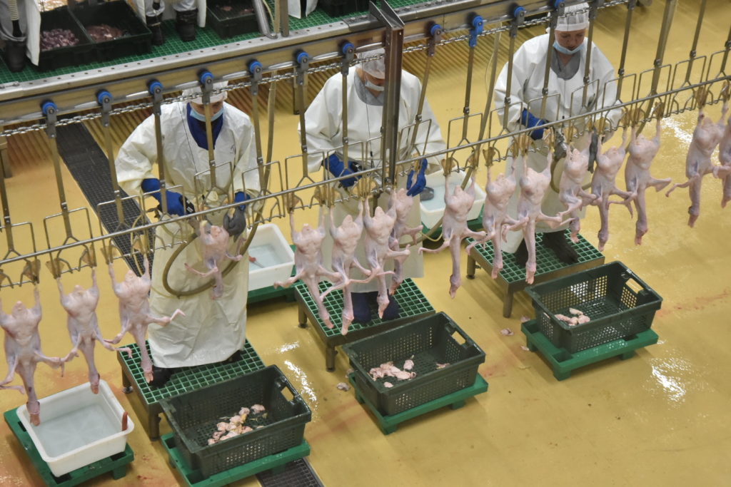 Мясо утки может начать экспортировать Новосибирская область