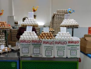 За две недели средняя цена на яйца выросла еще на 6 рублей в Новосибирске