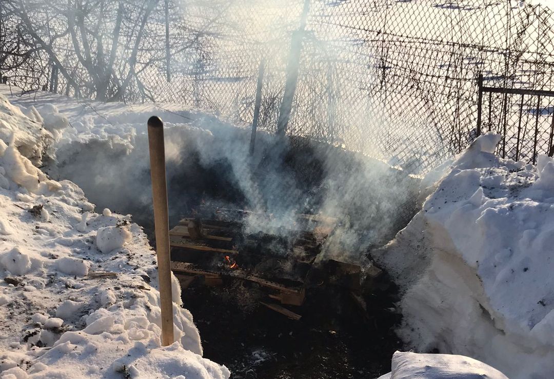 «Лупила без повода»: семья мигрантов похоронила годовалую дочь во дворе частного дома в Новосибирске