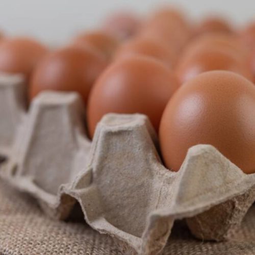 Дефицит яйца и мяса курицы в Новосибирской области был вызван ажиотажным спросом населения