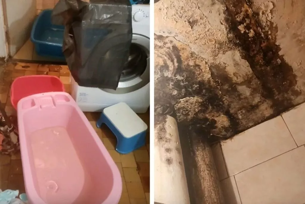 «20 лет разрушается крыша»: ручьи побежали на головы жильцов общежития в Новосибирске