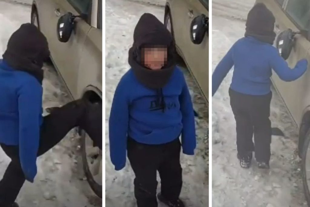 «Иди на хрен, тварь!»: третьеклассник разгромил чужую иномарку на парковке в Новосибирске