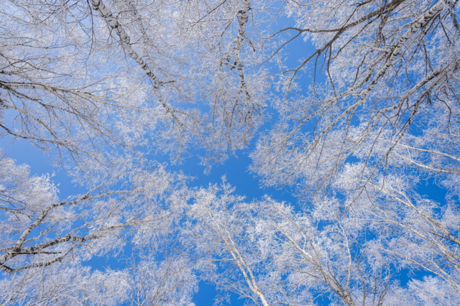 Морозы и ясное небо: Синоптики рассказали о погоде на следующей неделе