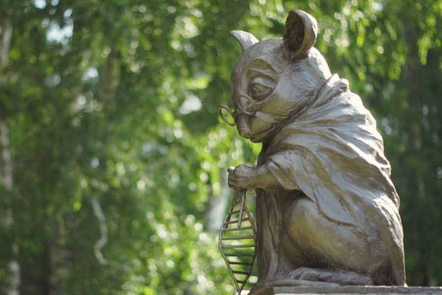 Новосибирский памятник лабораторной мыши вошел в топ-7 монументов с глубоким смыслом