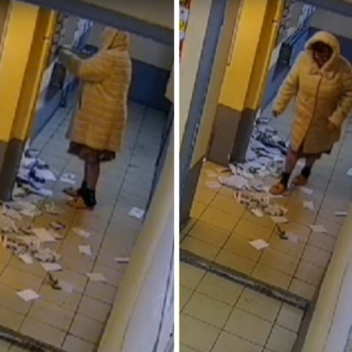 «Это бабка-потрошитель»: пенсионерку поймали на взломе почтовых ящиков в многоэтажке Новосибирска