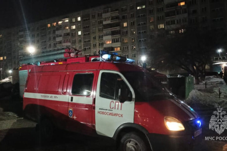 «Потушили за 10 минут»: пожар в квартире унес жизни двух человек в Новосибирске