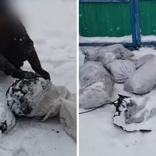 Полиция раскрыла кражу тонны угля из вагона под Новосибирском