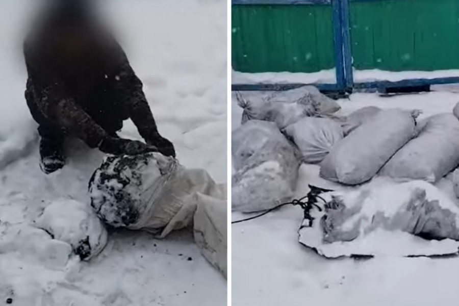 Полиция раскрыла кражу тонны угля из вагона под Новосибирском