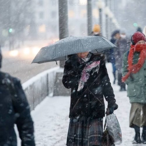 «Метели и порывистый ветер»: штормовое предупреждение объявили в Новосибирской области