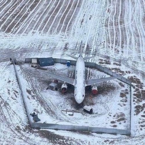 «Есть у меня для него место»: глава Убинского района хочет оставить севший в поле самолет под Новосибирском