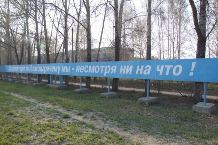 Сдвинули бегемотика: началось общественное обсуждение знаменитого лозунга в Новосибирске