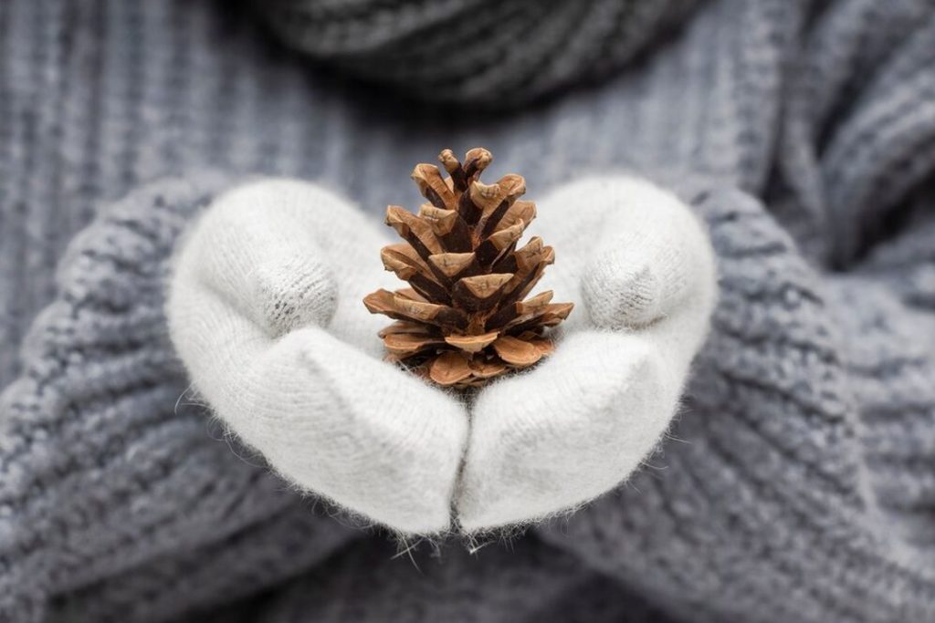 Максимов день: почему сегодня нельзя давать взаймы и ругаться